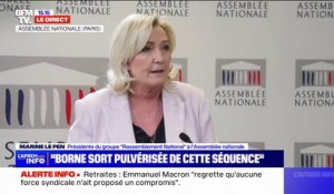 Marine Le Pen: "Emmanuel Macron verse dans l'antiparlementarisme"