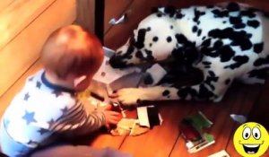 Best Funny Videos Videos Babies Laughing At Dogs Cute Dog Baby Compilation 1416 255