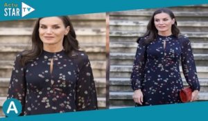 Letizia d'Espagne ravissante : son look printanier recyclé pour une sortie culturelle en solo