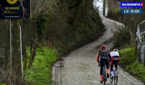 Tour des Flandres: van der Poel, van Aert et Pogačar sont les grands favoris