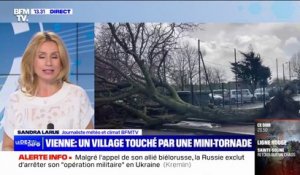 Vienne: une mini-tornade frappe le village de Saint-Jean-de-Sauves
