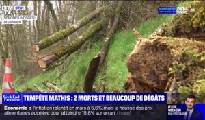Tempête Mathis: deux morts après des chutes d'arbres en Grand Est