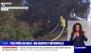 Alpes-Maritimes: les pompiers mobilisés sur un feu de forêt près de Nice, un individu en garde à vue