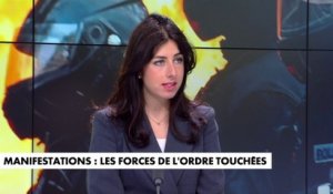 Shannon Seban : «N'allons pas essayer de monter en épingle une certaine scénarisation des violences»