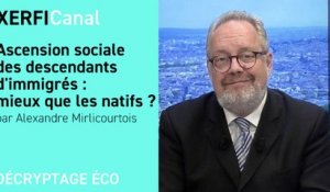 Ascension sociale des descendants d'immigrés : mieux que les natifs ? [Alexandre Mirlicourtois]