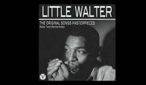 Little Walter - Got To Find My Baby (Alternate Take) [1954]