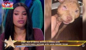 TPMP : Rop et Rocka invités à donner leur  des faits dans l'affaire avec leur chienne Texas