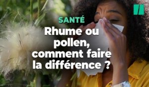 Rhume ou allergie au pollen ? Pourquoi vous toussez et éternuez