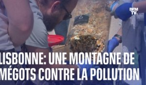 À Lisbonne, des activistes collectent 650.000 mégots pour sensibiliser le public à la pollution générée par les cigarettes