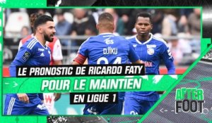 Ligue 1 : Nantes, Brest, Strasbourg, Auxerre ... Le pronostic pour le maintien de Ricardo Faty