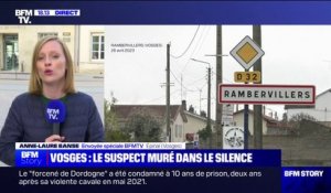 Vosges: garde à vue terminée pour le suspect du meurtre de Rose, présenté à un juge d'instruction en vue de sa mise en examen