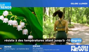 Comment cultiver et prendre soin du muguet ?