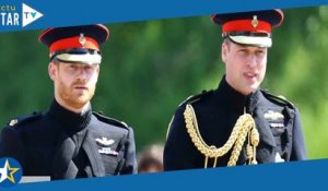 Le prince Harry passé au lance-flamme : “Sa jalousie pour William ne connaît pas de limites”