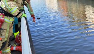 Une voiture repêchée par les pompiers dans le canal à Molenbeek-Saint-Jean