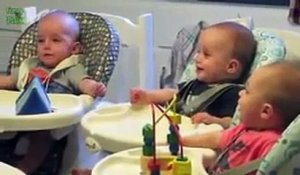 Funny Triplet Babies Laughing Videos