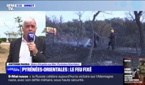 Pour Antoine Parra, maire d'Argelès-sur-Mer, à l'inquiétude des feux de forêt "s'ajoute celle liée à la sécheresse profonde"