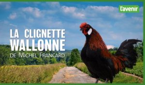 La clignette wallonne de Michel Francard 02-06