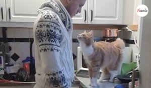 Le rituel quotidien de ce chat câlin avec son maître a fait fondre plus de 3 millions de personnes (Vidéo)