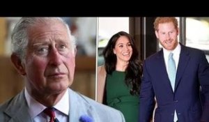 Le roi Charles "veut se réconcilier avec Harry et Meghan" après le couronnement