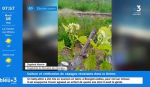 À La Roche-de-Glun, découvrez les vins légers et fruités issus de cépages résistants du "Domaine des Granges"