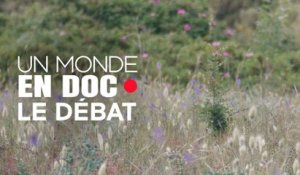 Un monde en doc - École dans la forêt : un modèle duplicable ?