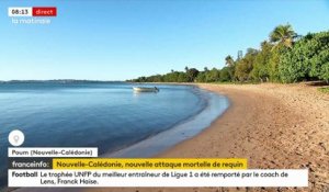 Un homme qui pratiquait la pêche sous-marine est mort après une attaque de requin en Nouvelle-Calédonie - La deuxième attaque mortelle dans l’archipel français du Pacifique sud depuis le début de l’année