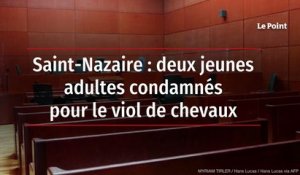 Saint-Nazaire : deux jeunes adultes condamnés pour le viol de chevaux
