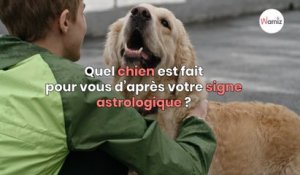 Quel chien est fait pour vous d’après votre signe astrologique ?