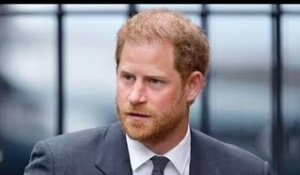 Le prince Harry perd sa candidature pour contester la décision du ministère de l'Intérieur concernan