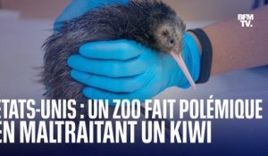 Ce kiwi serait maltraité par un zoo en Floride selon de nombreux Néo-Zélandais