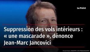Suppression des vols intérieurs : « une mascarade », dénonce Jean-Marc Jancovici