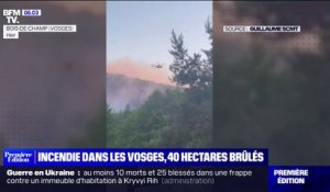 Un incendie dans les Vosges ravage près de 40 hectares à Bois-le-Champ