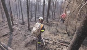 Incendies : des pompiers français en renfort au Canada