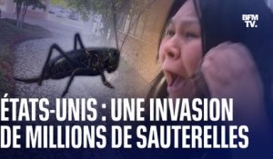 États-Unis: une invasion de millions de sauterelles submerge une ville du Nevada
