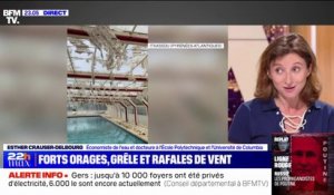 Orages: "Les acteurs économiques vont devoir revoir leur modèle pour pouvoir s'adapter au réchauffement climatique", affirme Esther Crauser-Delbourg (économiste de l'eau)