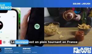 Une taxe pour le streaming sur TikTok, Spotify et Deezer en France ?