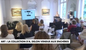 Art : La collection d'Alain Delon vendue aux enchères
