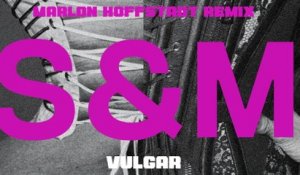 Sam Smith - VULGAR (Marlon Hoffstadt Remix / Visualiser)
