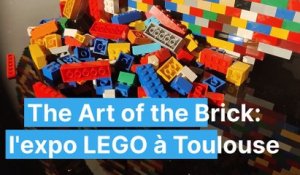 The Art of the Brick : l'expo LEGO à Toulouse