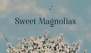 Sweet Magnolias - Trailer Saison 3