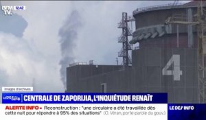 Centrale de Zaporijia: Volodymyr Zelensky remercie Emmanuel Macron pour "sa volonté de faire tout ce qui est nécessaire pour assurer la sécurité"