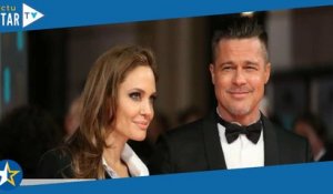 Brad Pitt un fermier “ridicule” ? Angelina Jolie sort les armes, et ça fait mal !