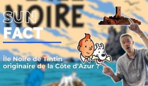 L'ïle Noire de Tintin vient-elle de la Côte d'Azur ?