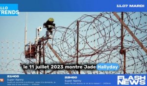 OK. Il y a une grande agitation autour de Jade Hallyday et sa soirée avec un participant de télé-réalité !