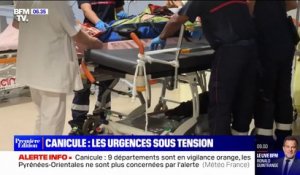 À cause de la canicule, les services d'urgences des Alpes-Maritimes sont sous tension