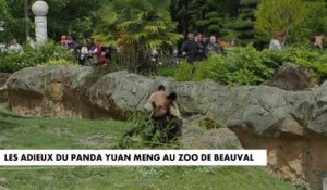 Les adieux du panda Yuan Meng au zoo de Beauval