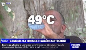 Canicule: des températures extrêmes en Tunisie et en Algérie