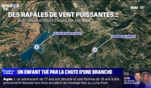 Un enfant de six ans tué par la chute de branches dans la commune de Sainte-Croix-du-Verdon