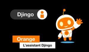 L’assistant Djingo Orange