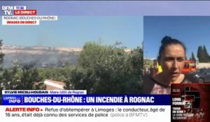 Incendie à Rognac: "Le feu est maîtrisé dans le secteur Saragousse", affirme la maire Sylvie Miceli-Houdais (UDI)